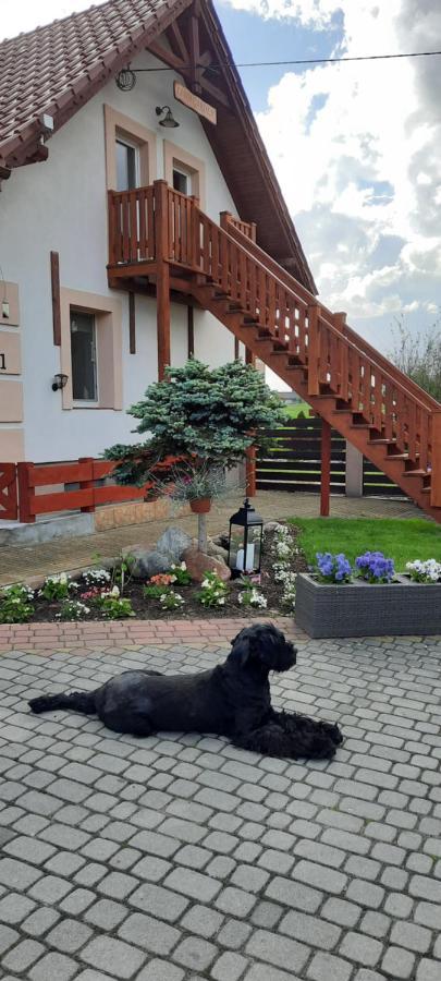 Apartamento Liwa Garden Krzywa 11 Exterior foto