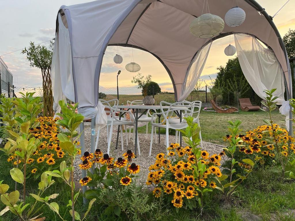 Apartamento Liwa Garden Krzywa 11 Exterior foto